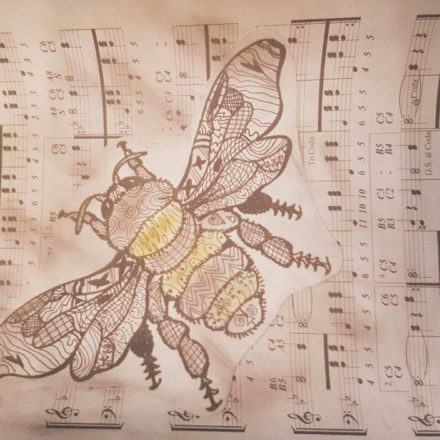 Bee Medenka notes